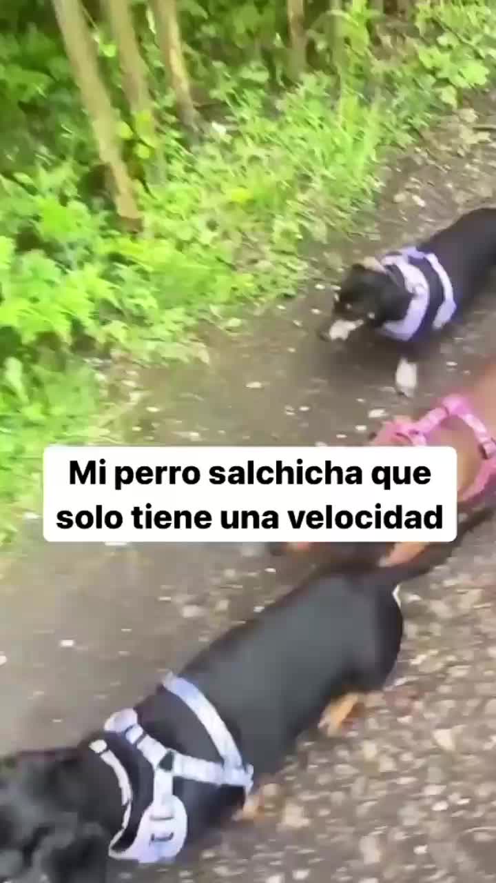 @𝐋𝐚𝐮𝐫𝐚 𝐀𝐫𝐯𝐢𝐳𝐮
