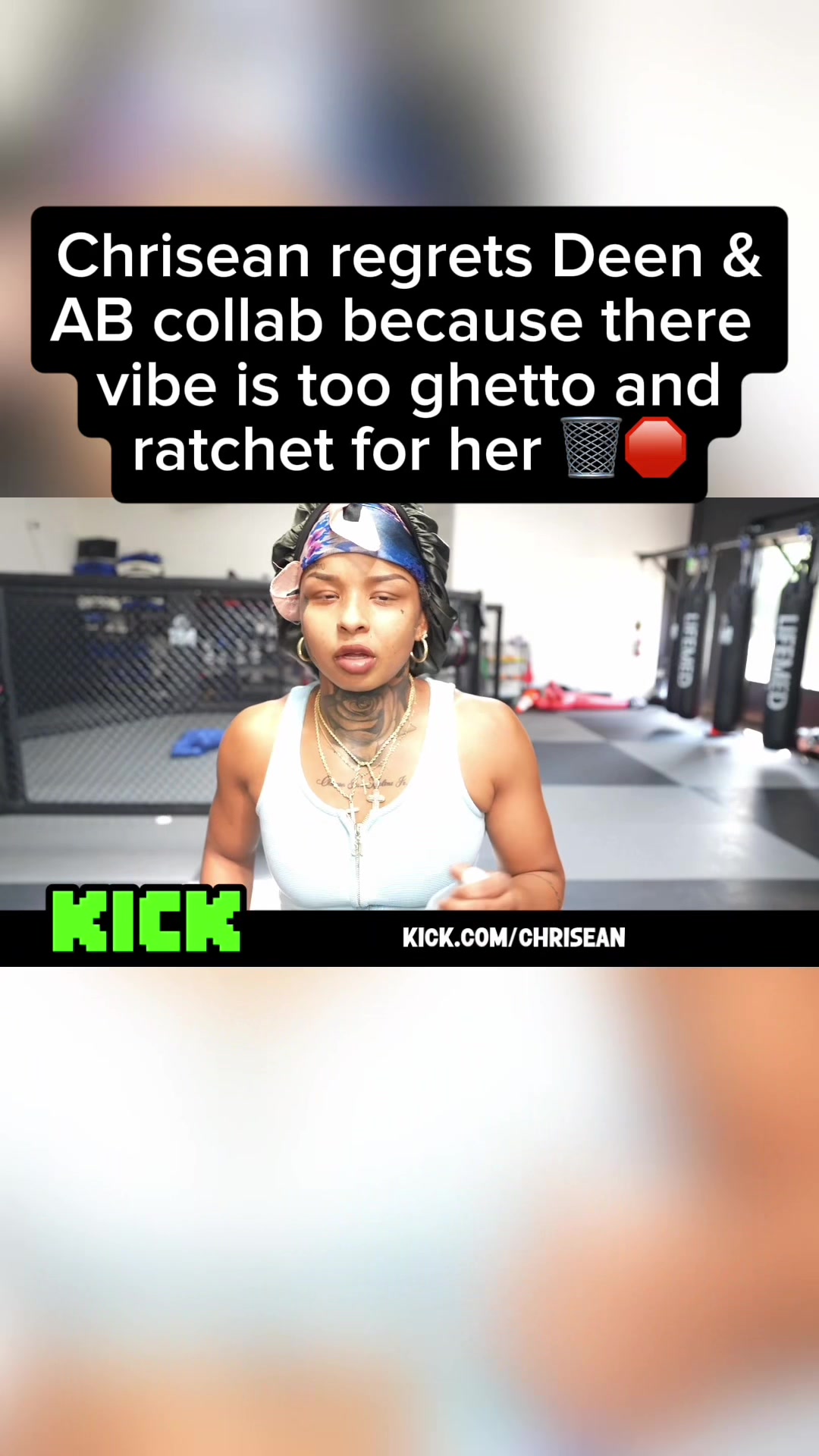 @gerbilclippedit