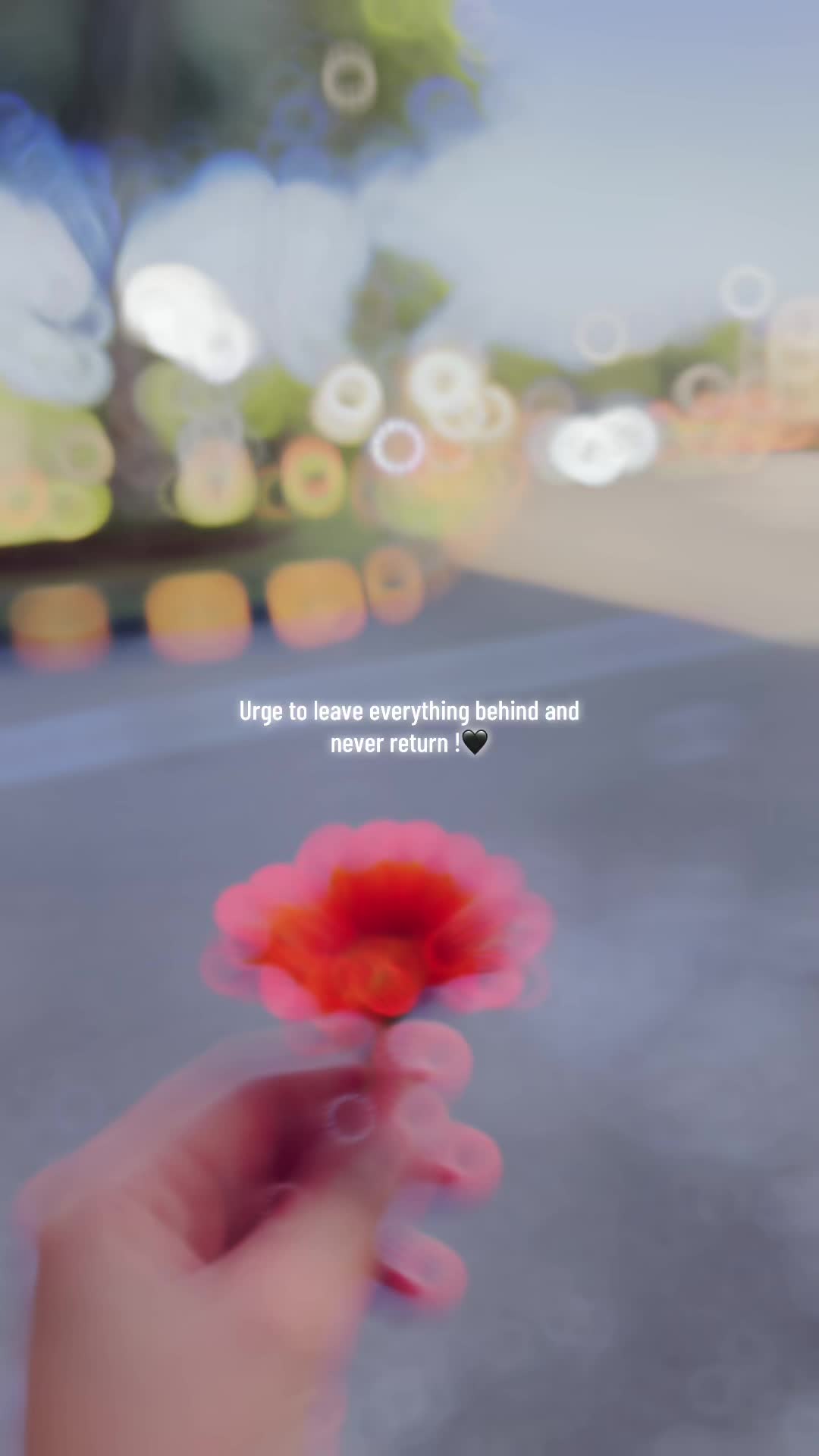 @👑✨🪽