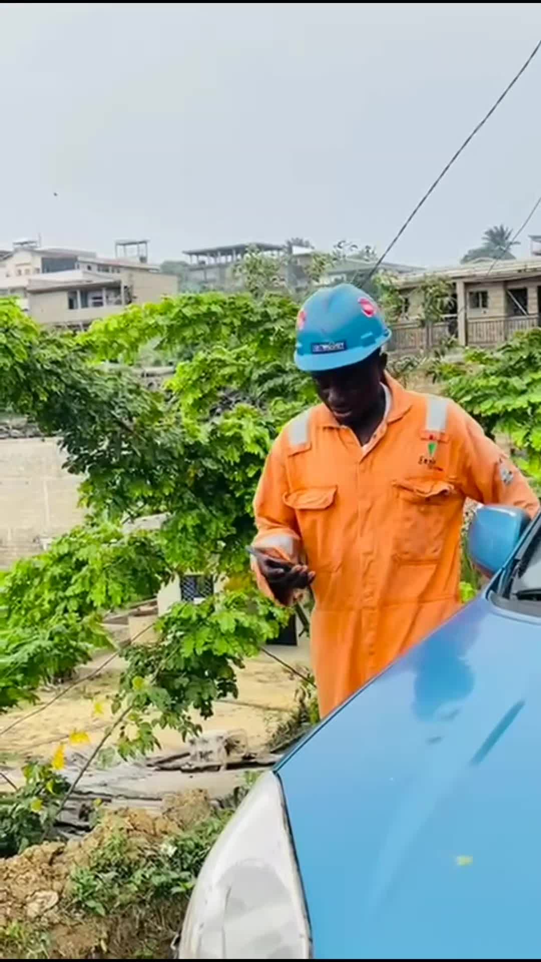@NANA PLANT🏝️
