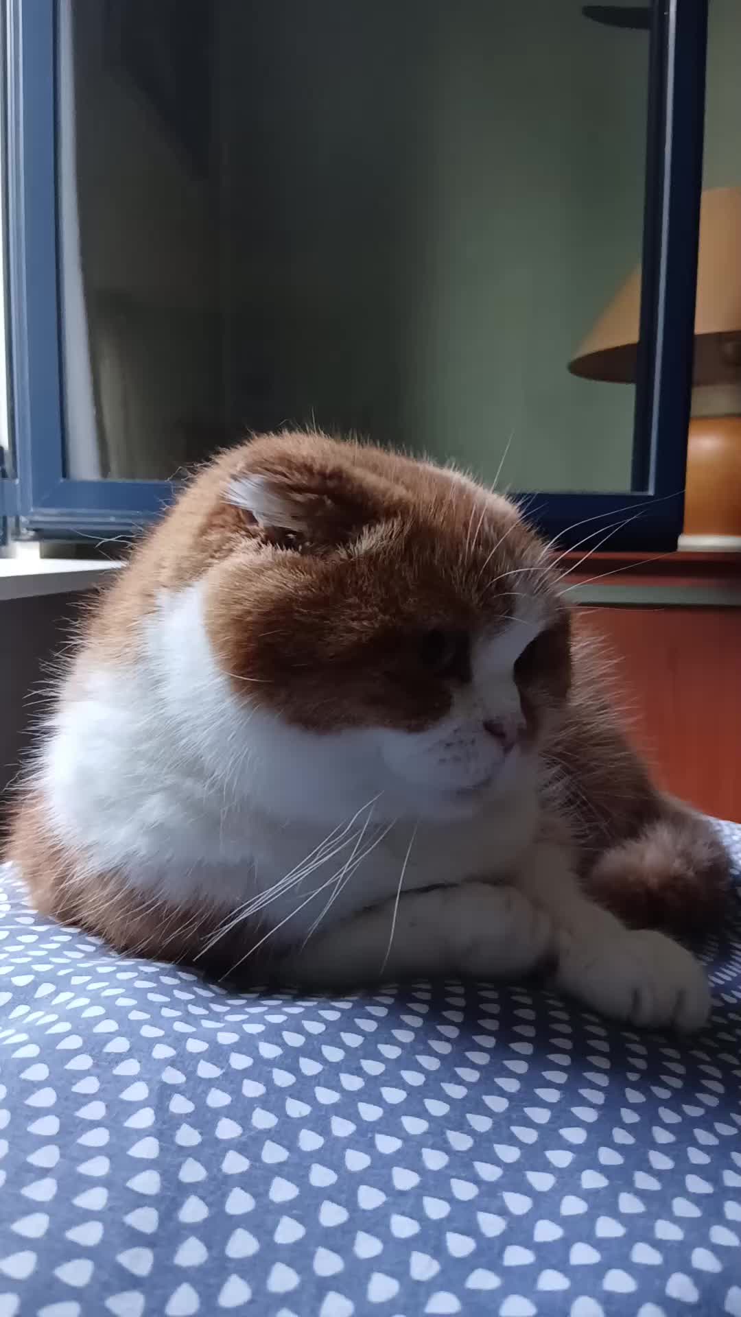 @Anneke & Simba
