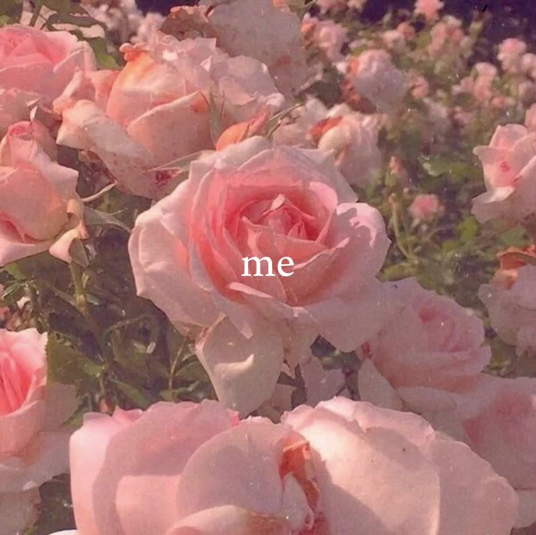 @४ simone 🦐⚓
