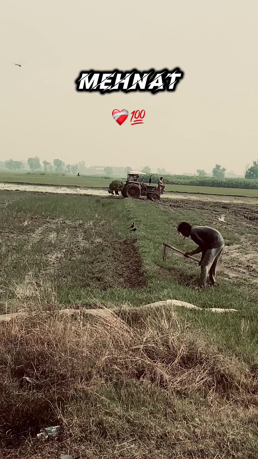@🍁پنجاب_تے_پنجابی🍁