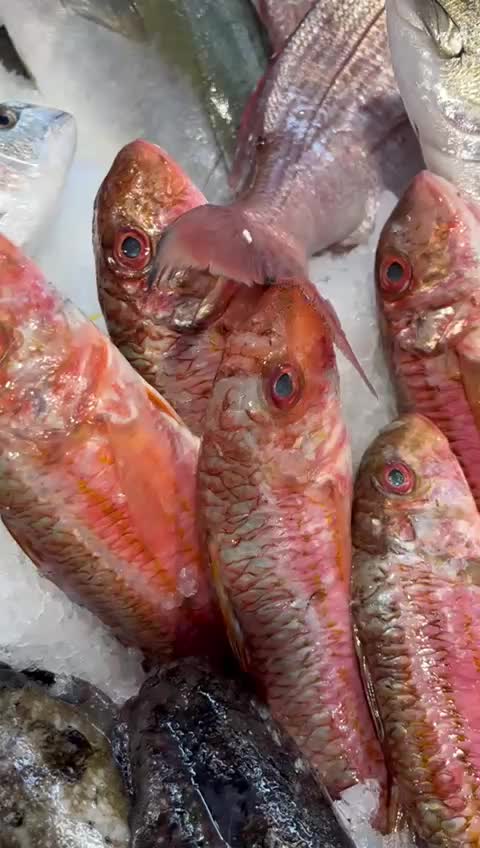 @Pescheriailsorriso
