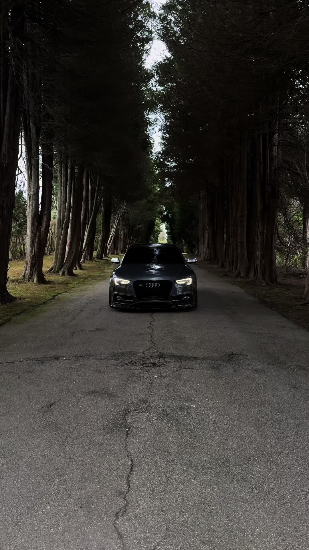 @s5urge