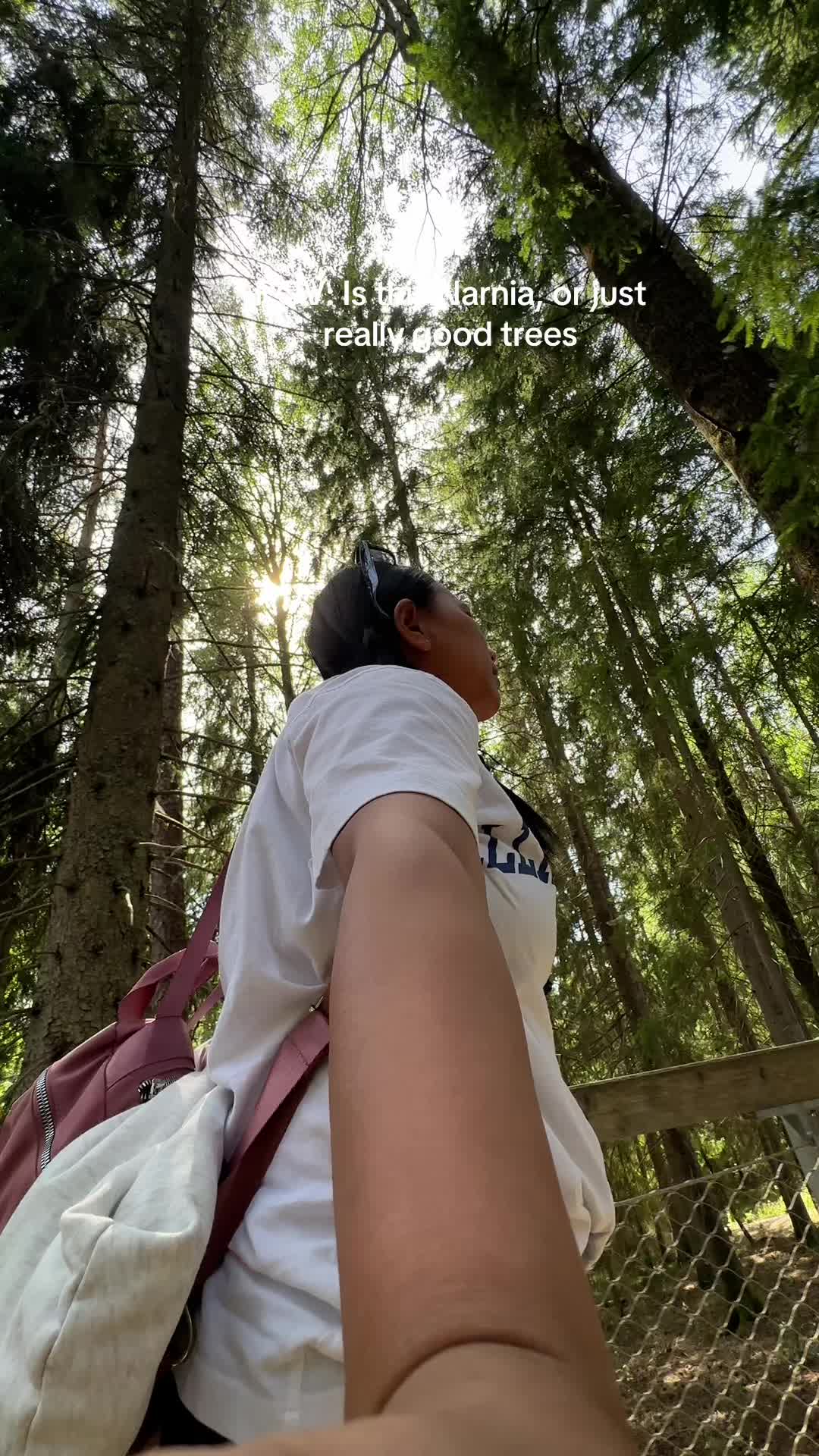 @chuchuchu