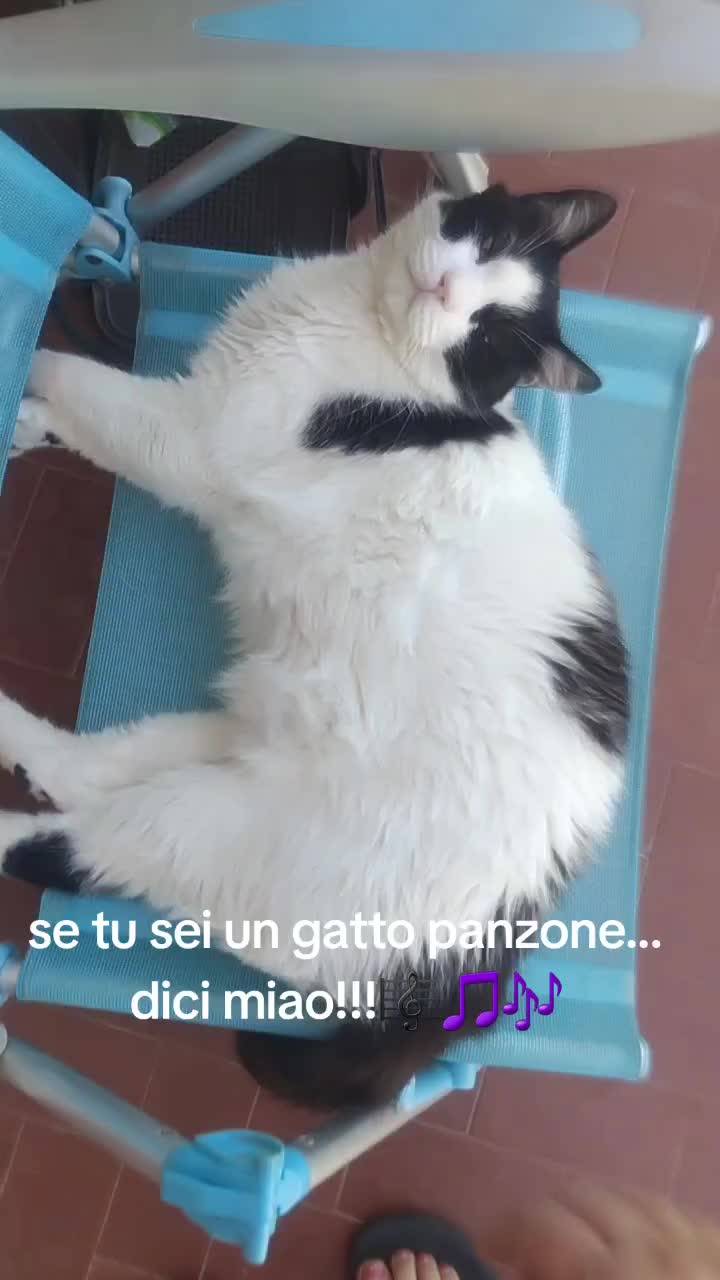 @Maria Celeste Torre