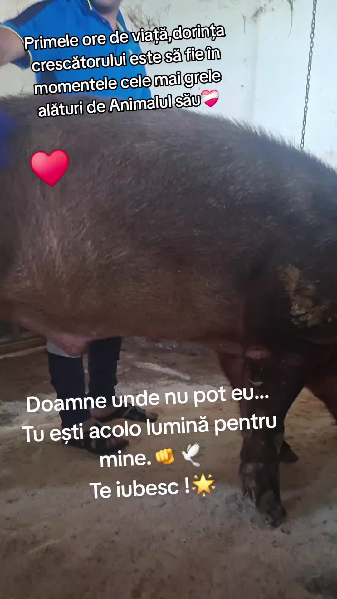 @💎🇷🇴Săndel Olteanul 🇷🇴💎