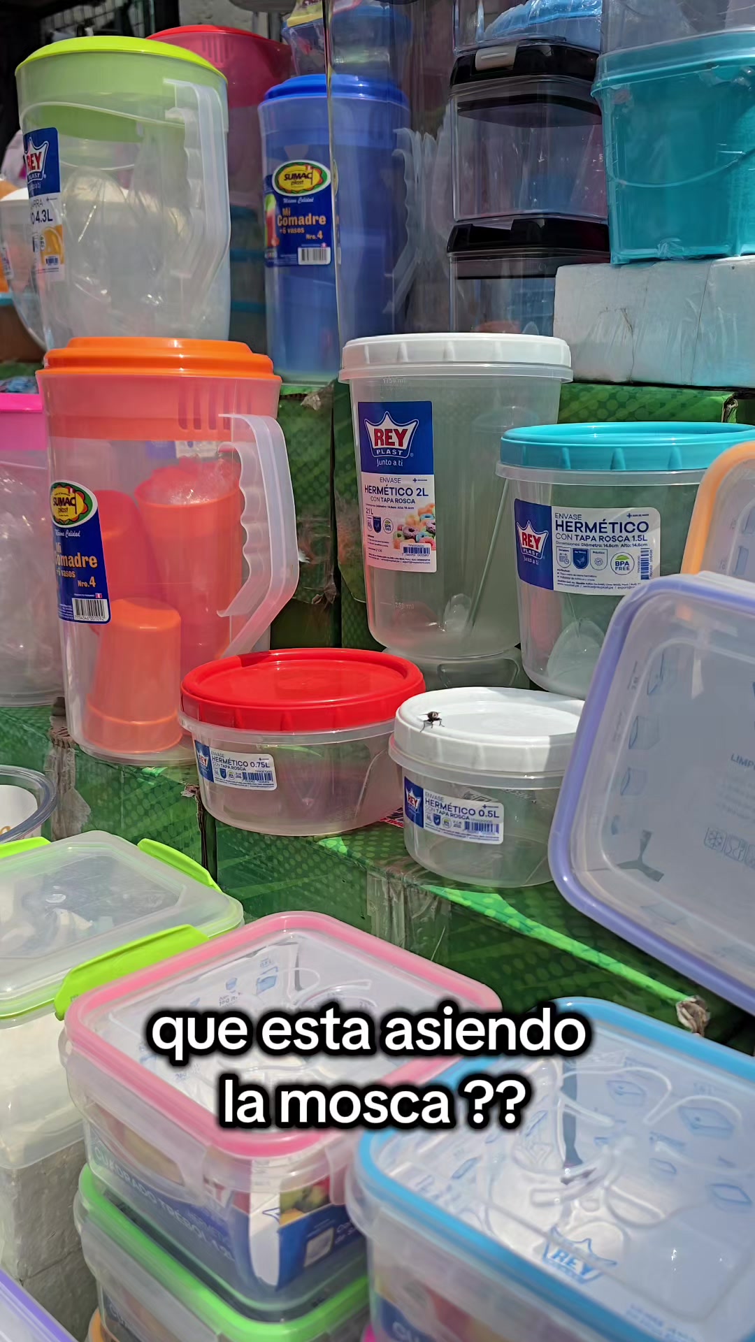 @Jordan saenz