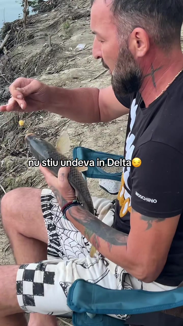@RobertPredoiu