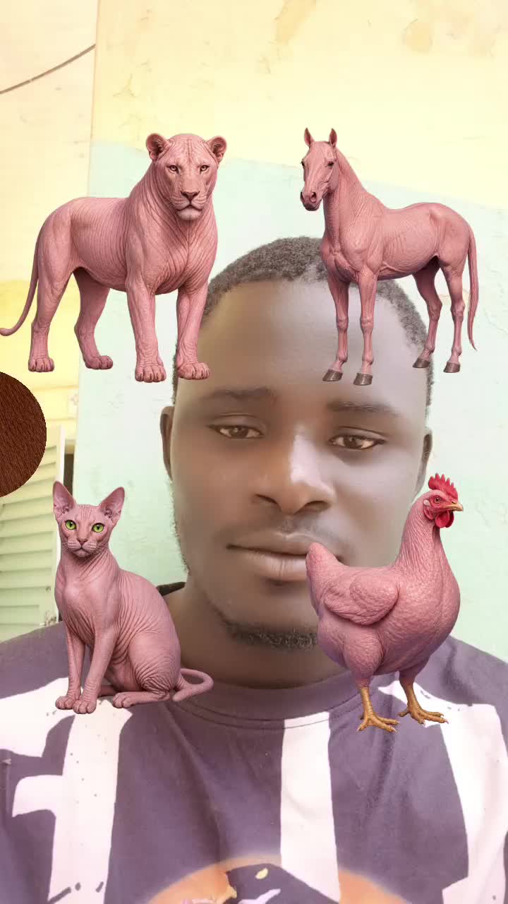 @samane