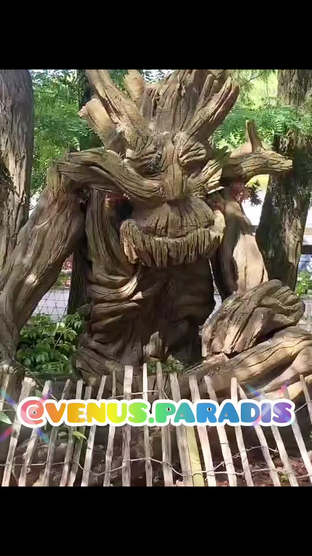 @venus.paradis