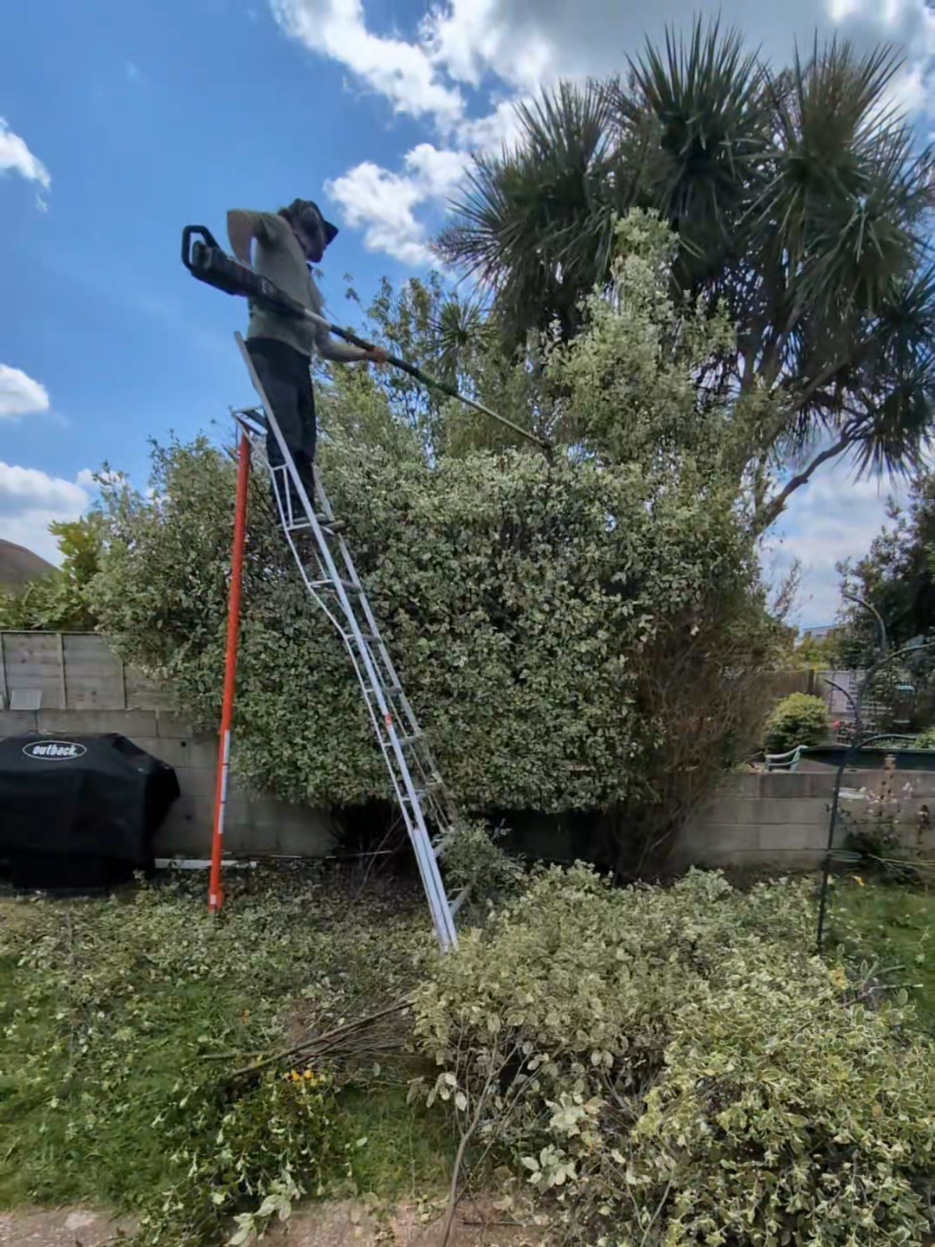 @Gary Hall Garden Services