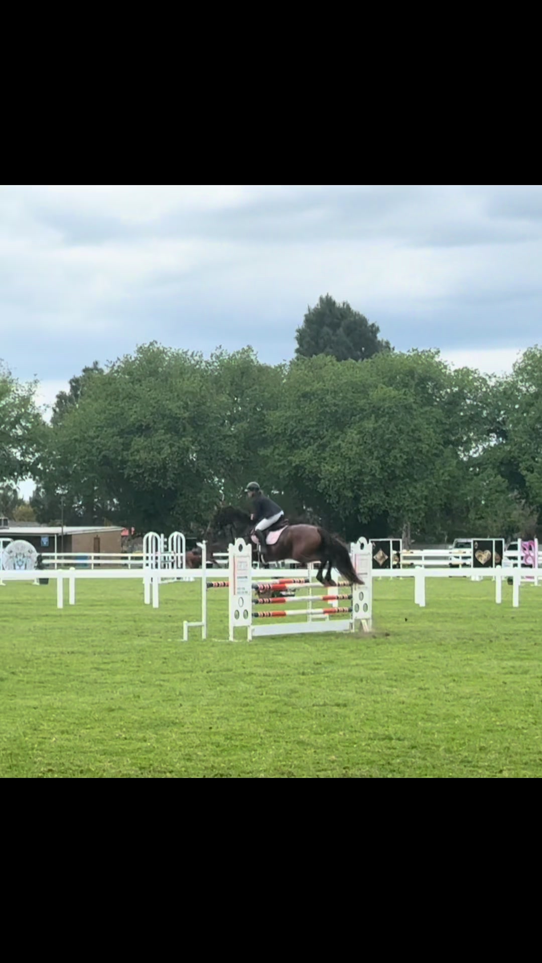 @skye.oequestrian38