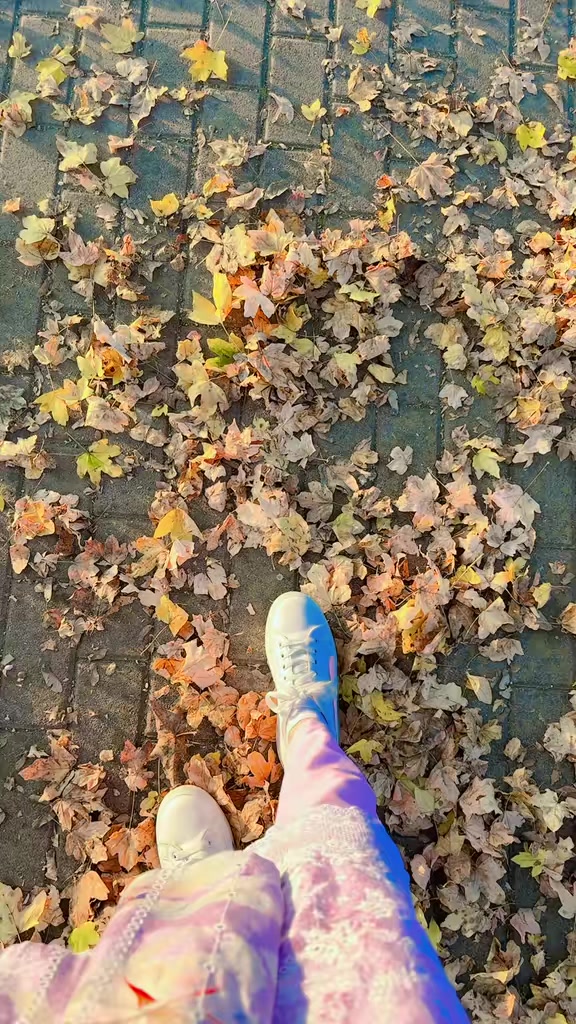 @нαzєℓ ✨