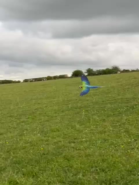 @Saqib Ali