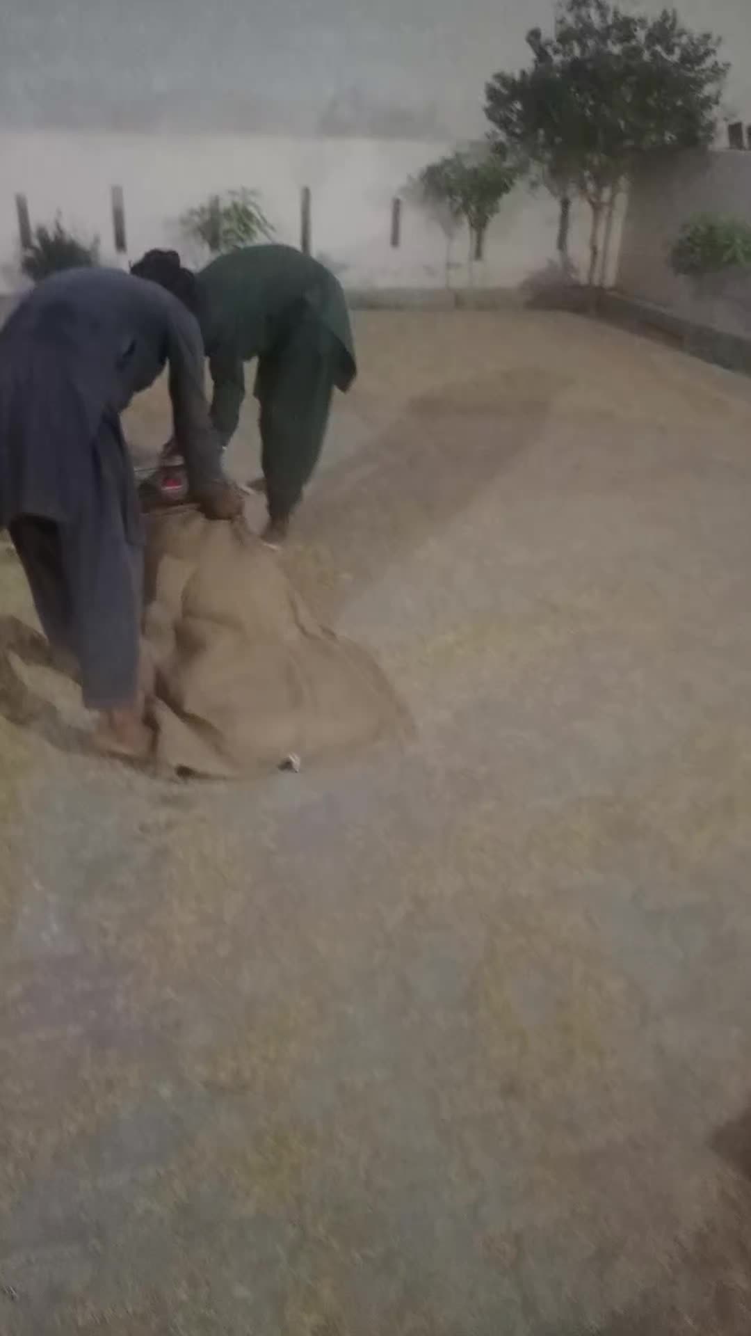 @M.bakhshbijarala