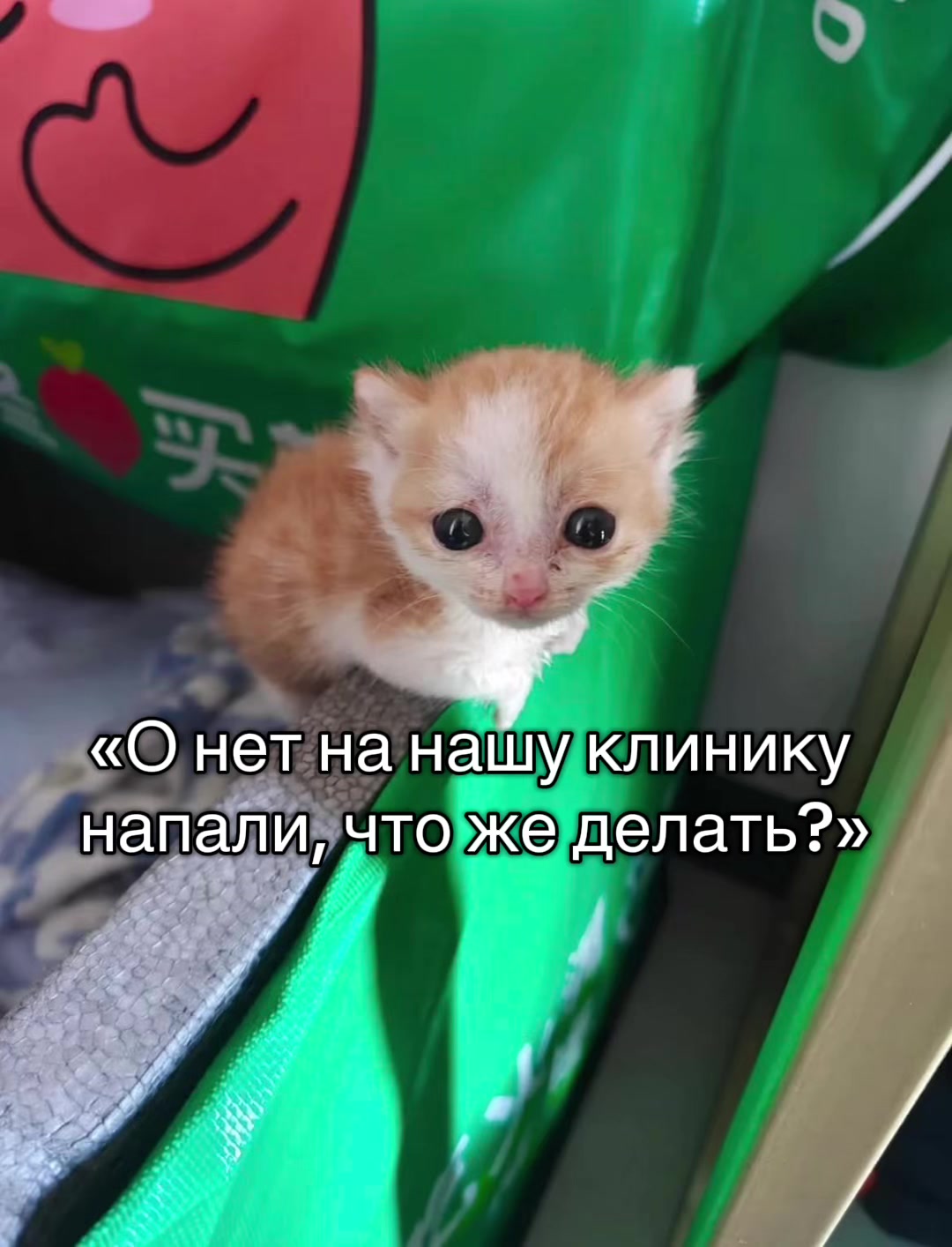 @Бельферг