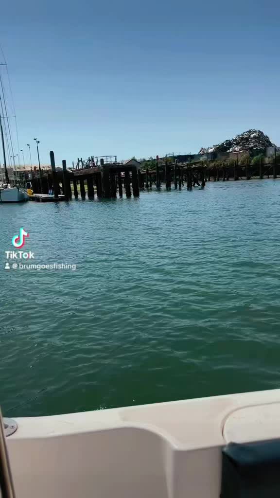 @BrumGoesFishing