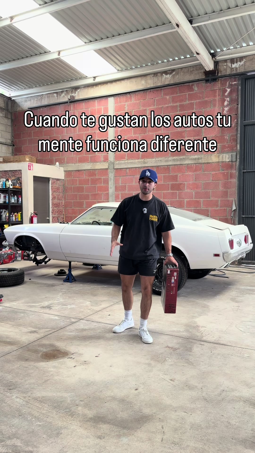 @Luis Fernando Cámara