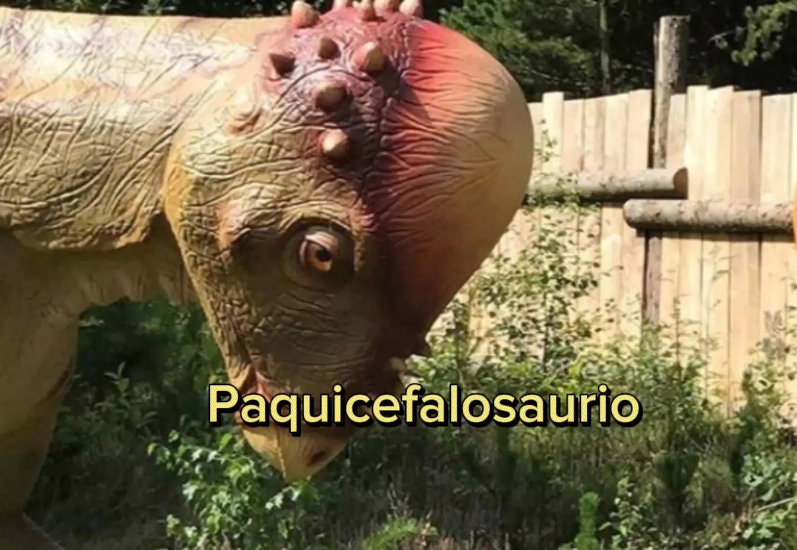 @Matrexdino TEA