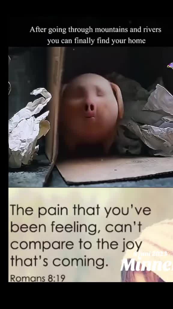 @Nelsiono3