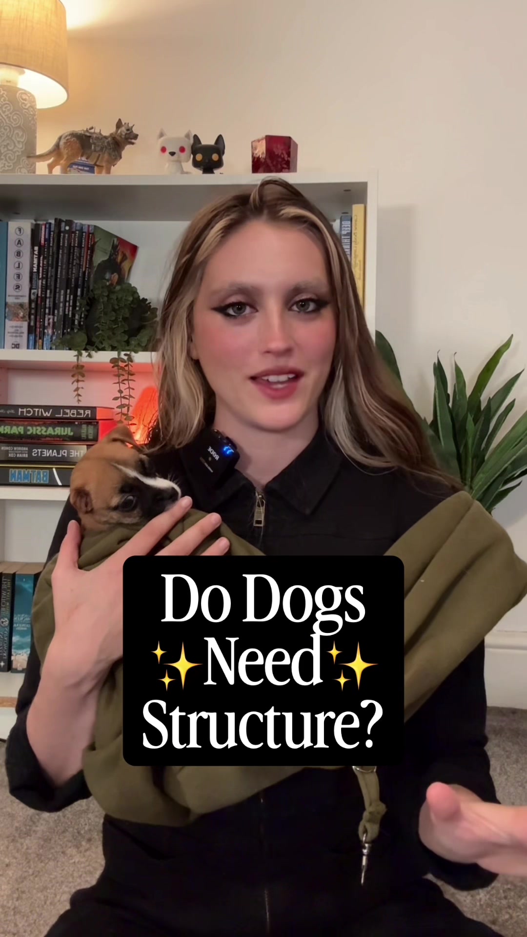 @Amelia the Dog Trainer
