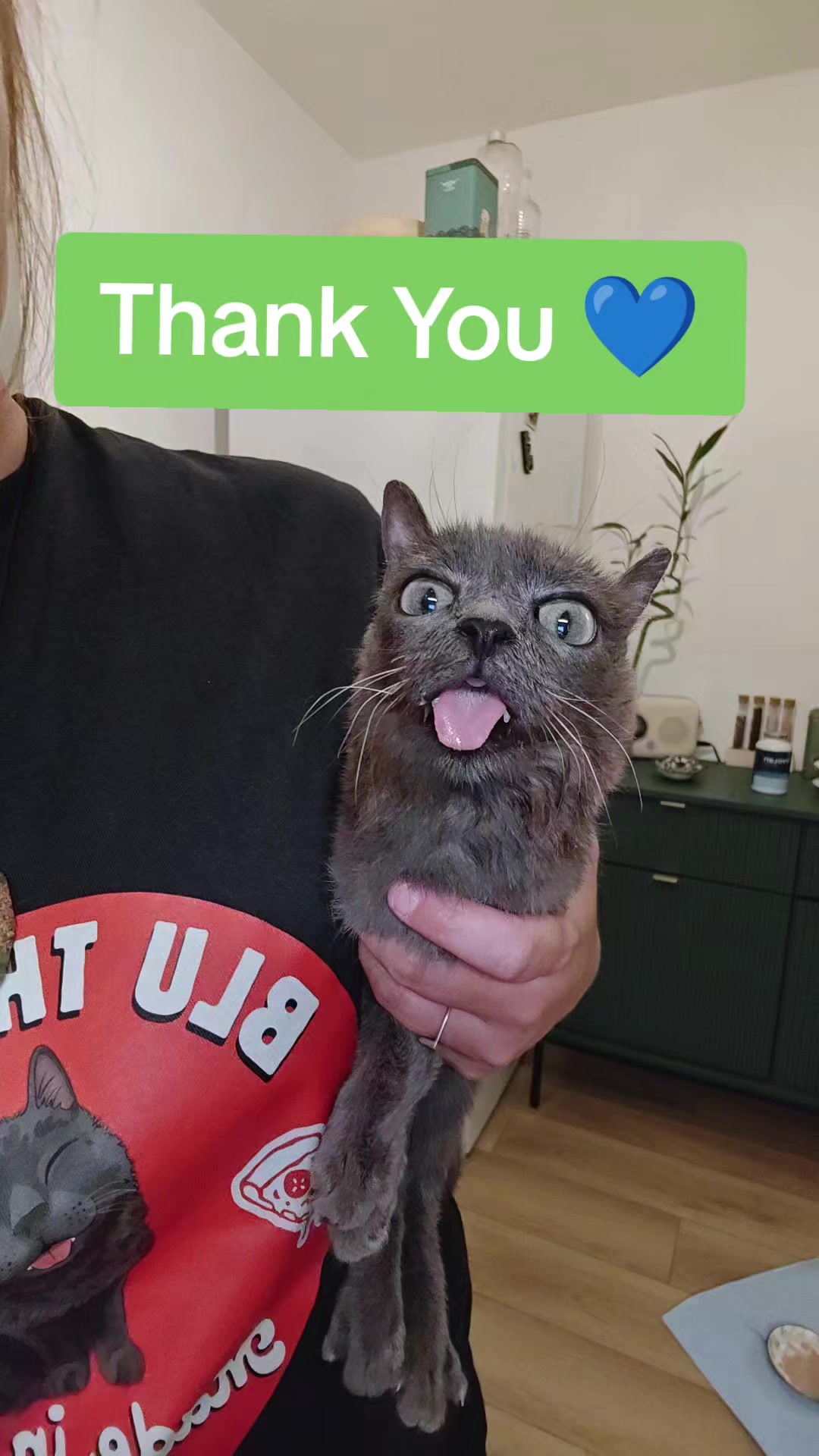 @blu_the_blep