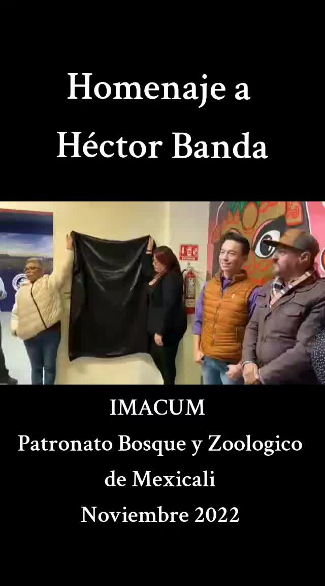 @Hector Banda
