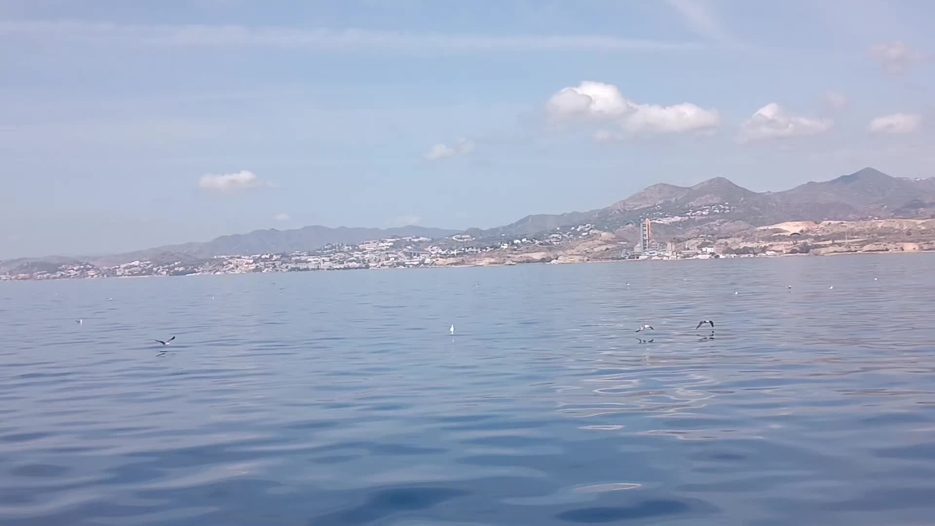 @iñigo