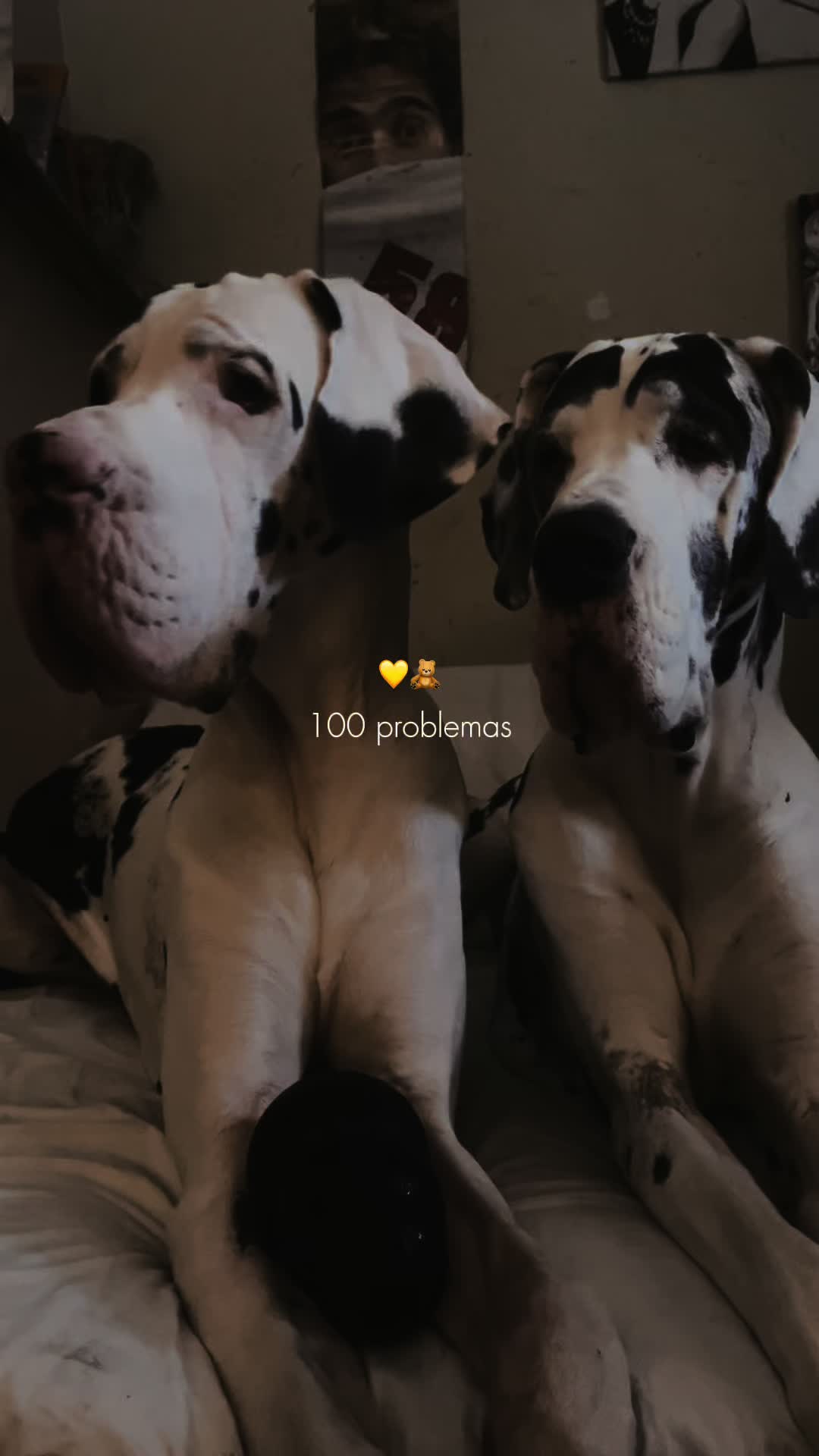 @CecyVox
