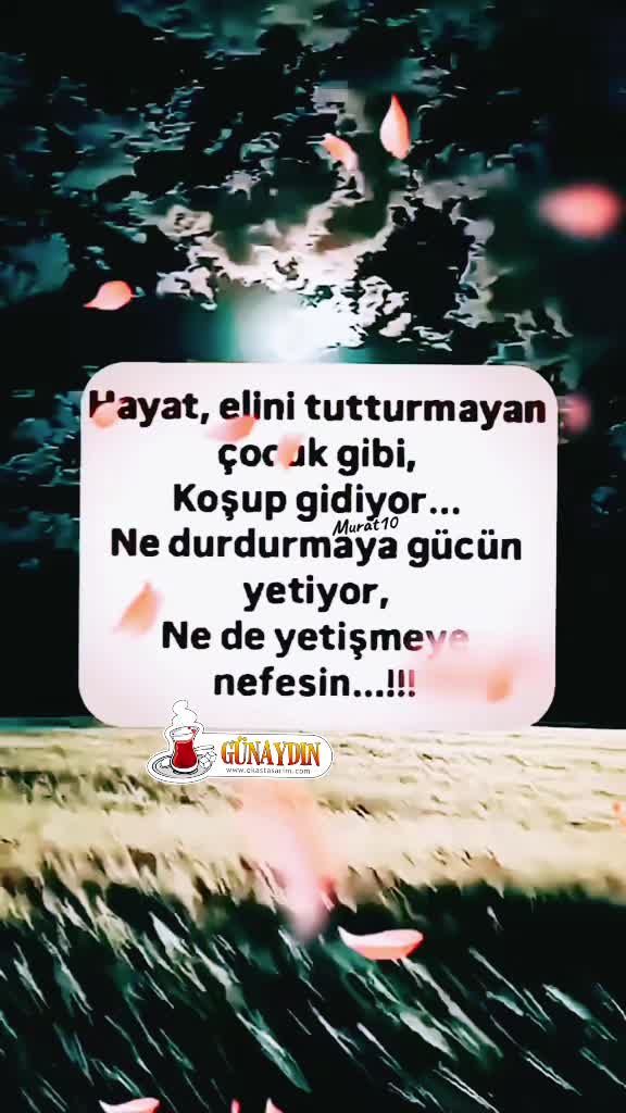 @Murat 💛10💙