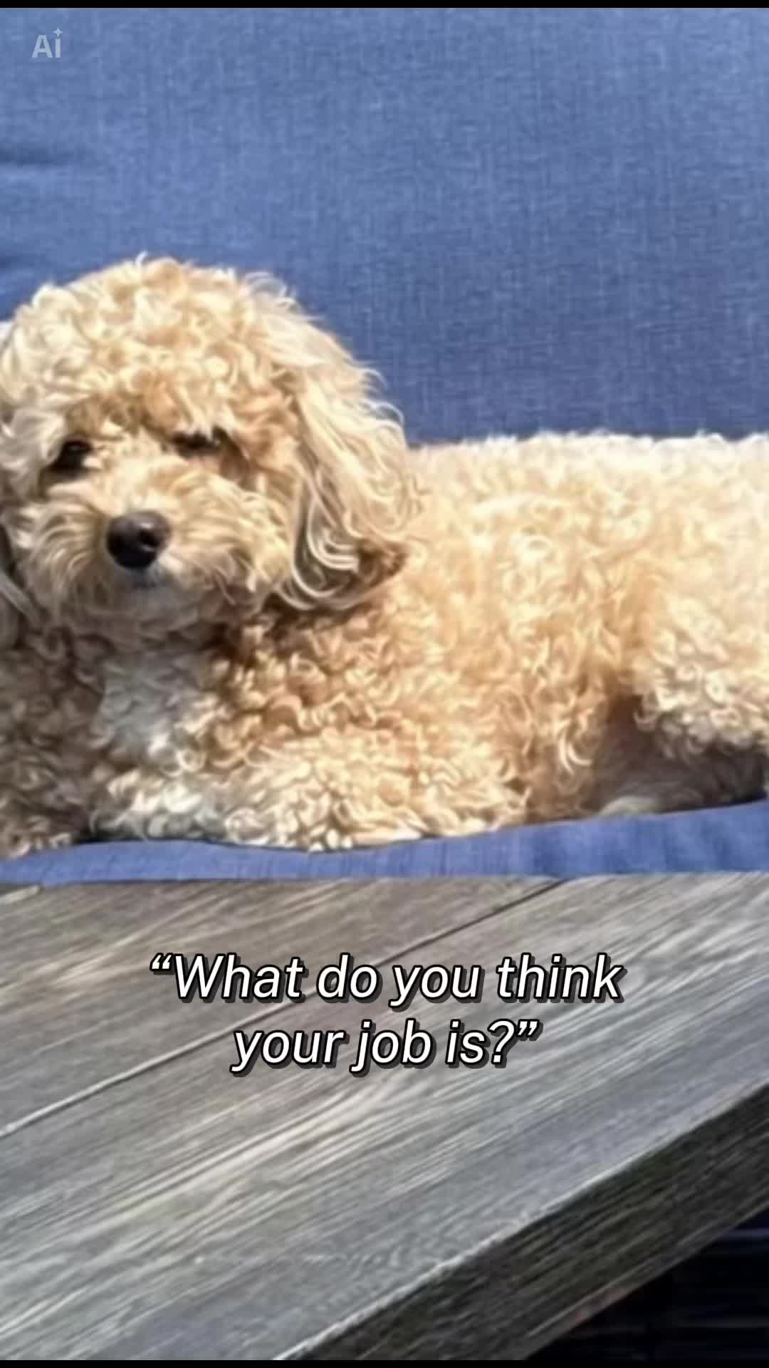 @GD