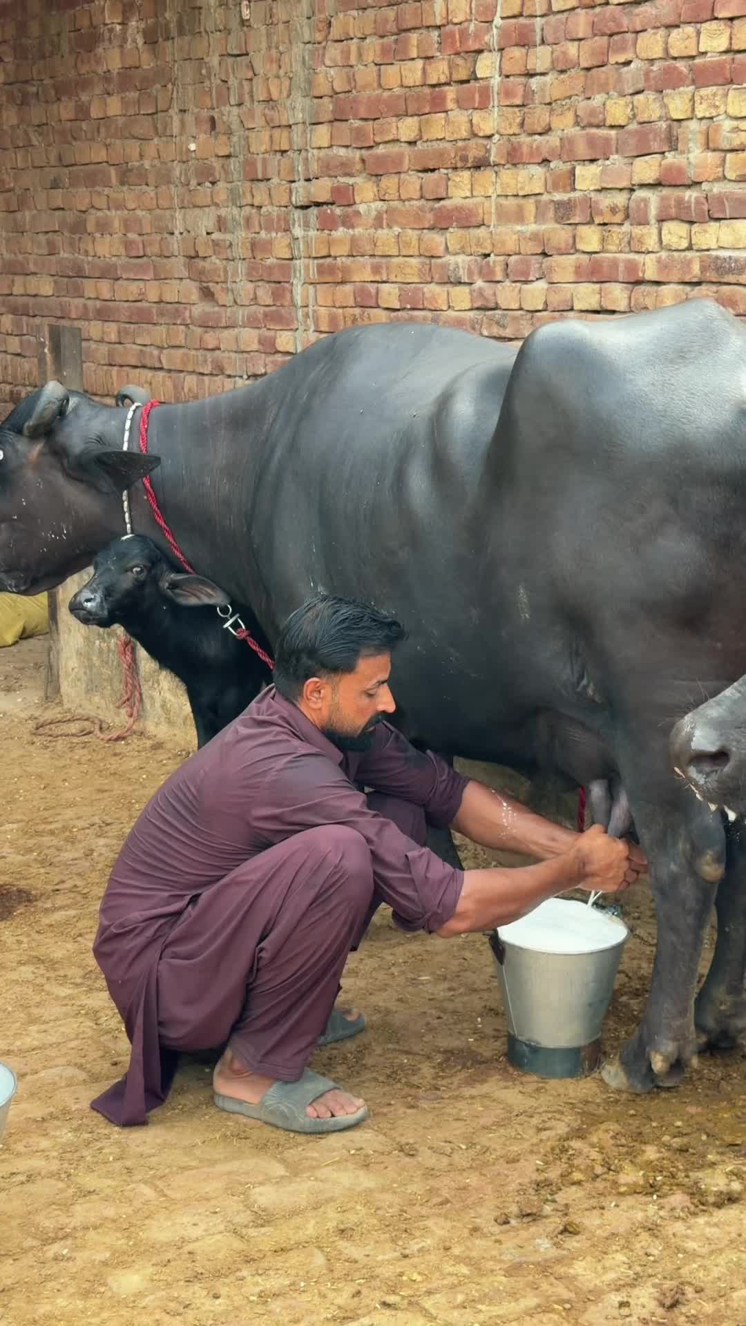 @waqarbhinder852