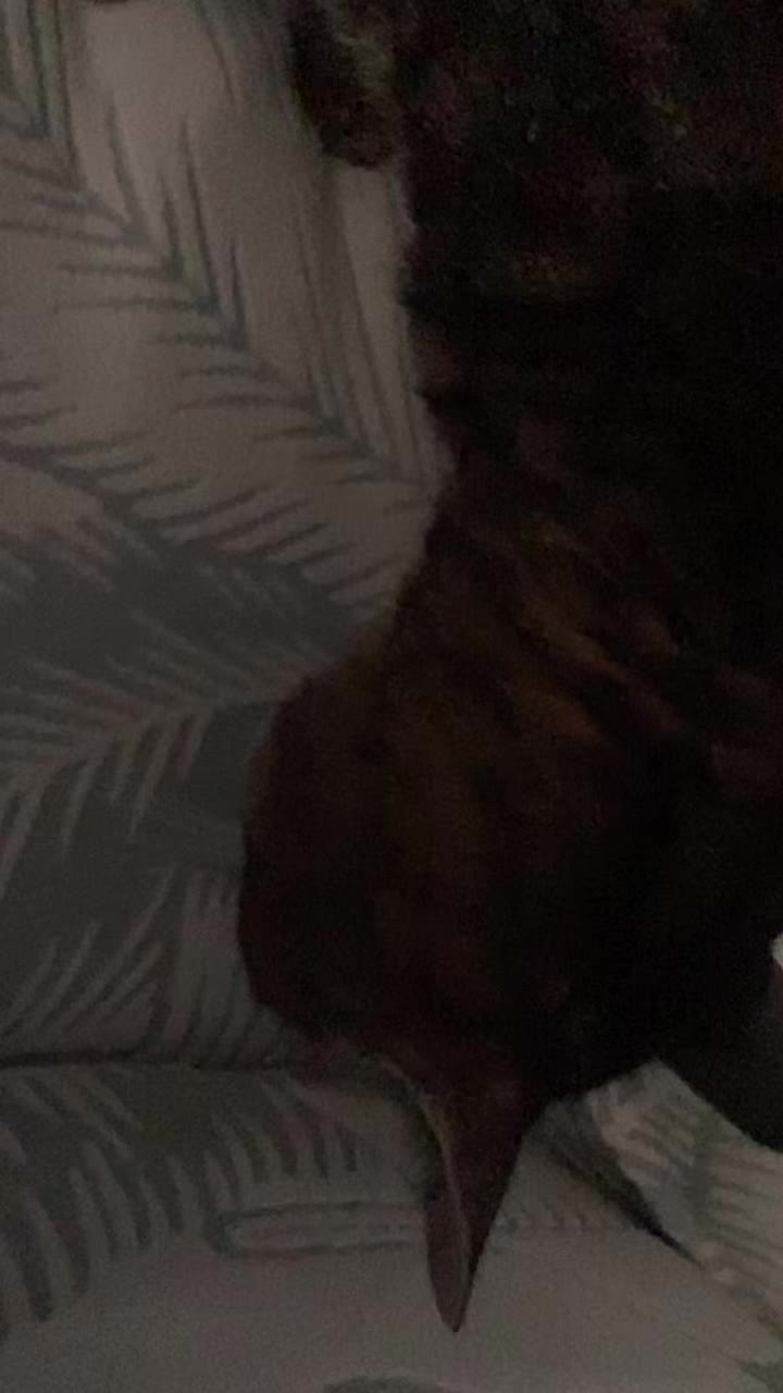 @kat_gurl