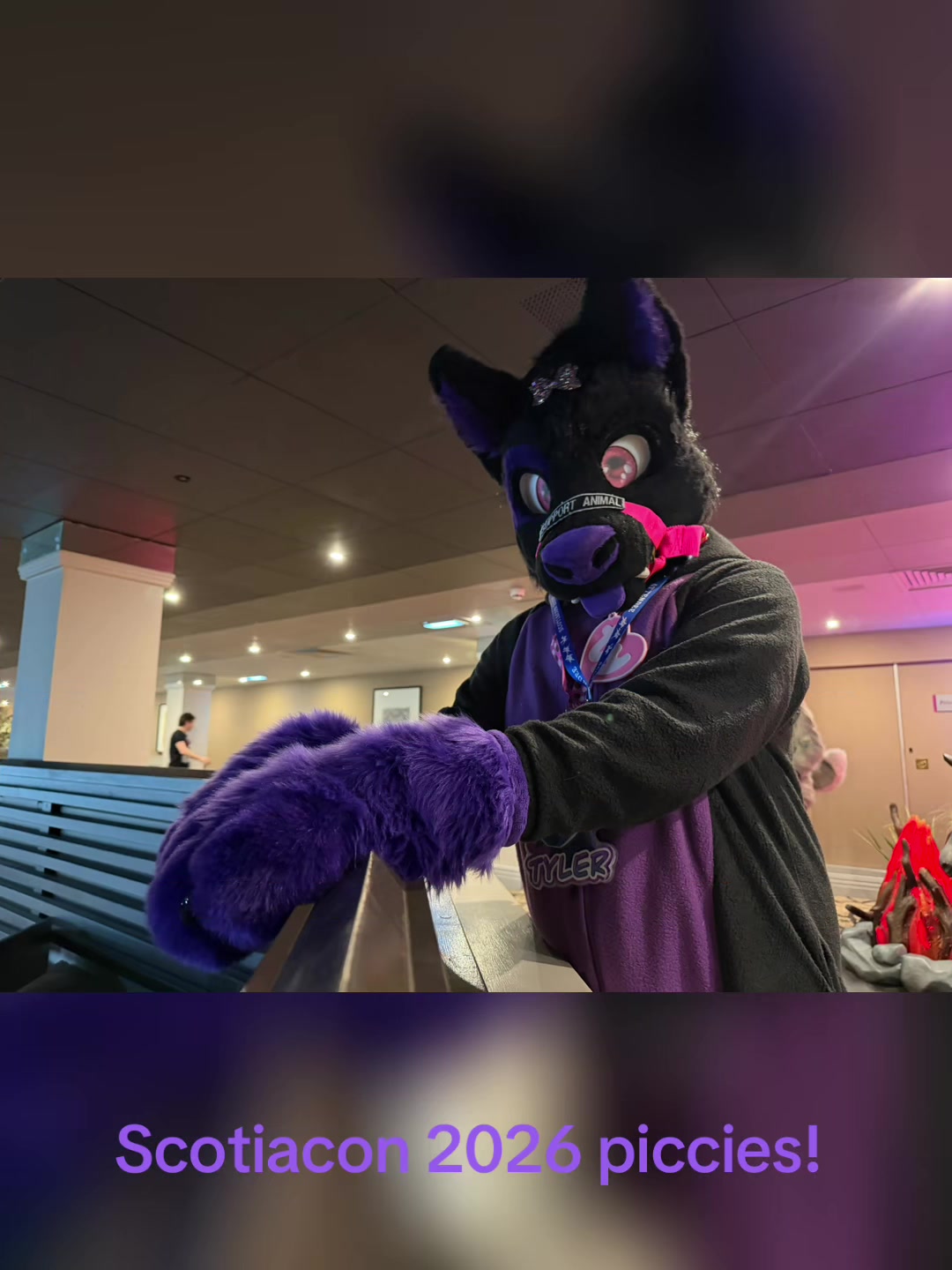 @Tyler Wusky