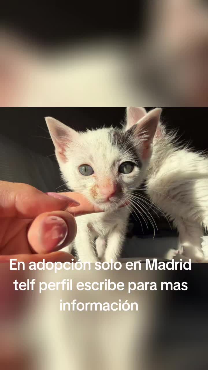 @Ronporsiempre