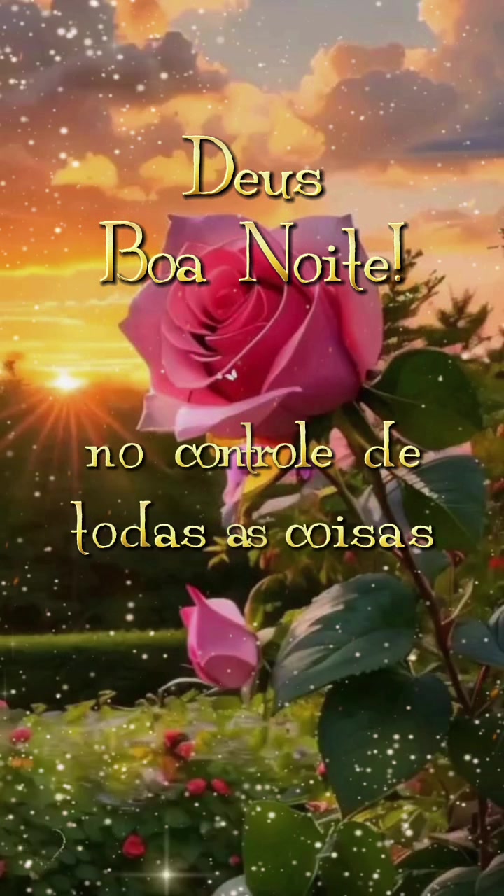 @Luzenir Silva 315