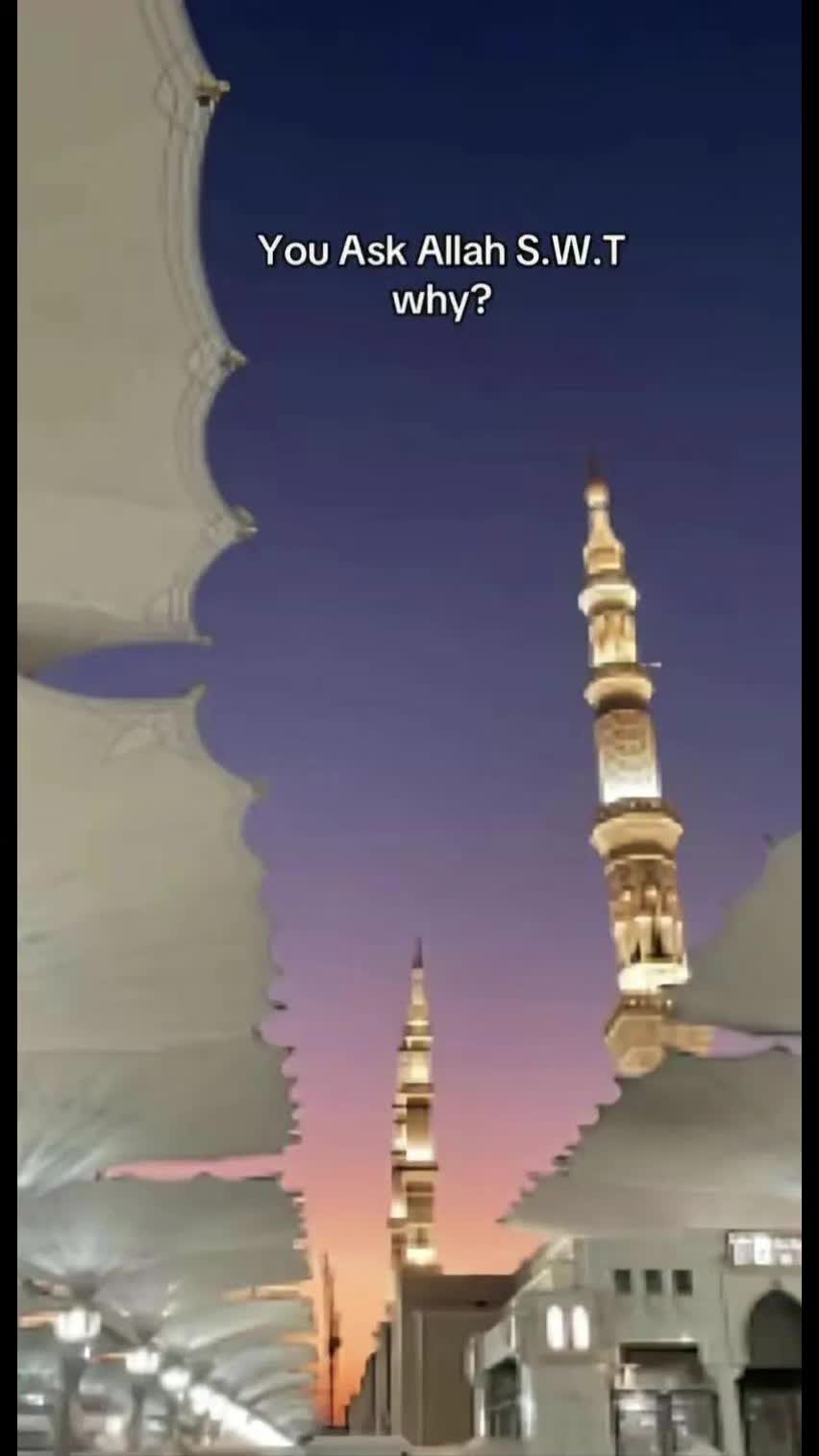 @Shah Gee