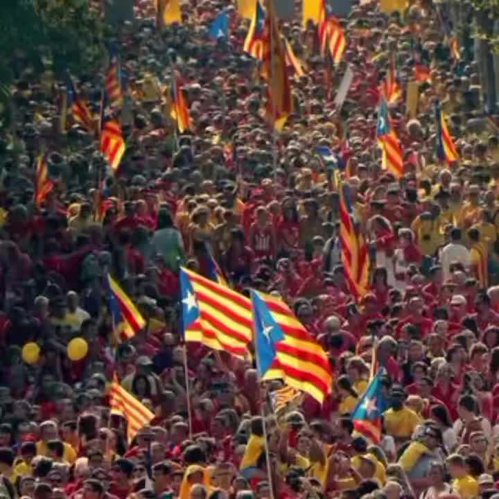 @Amir