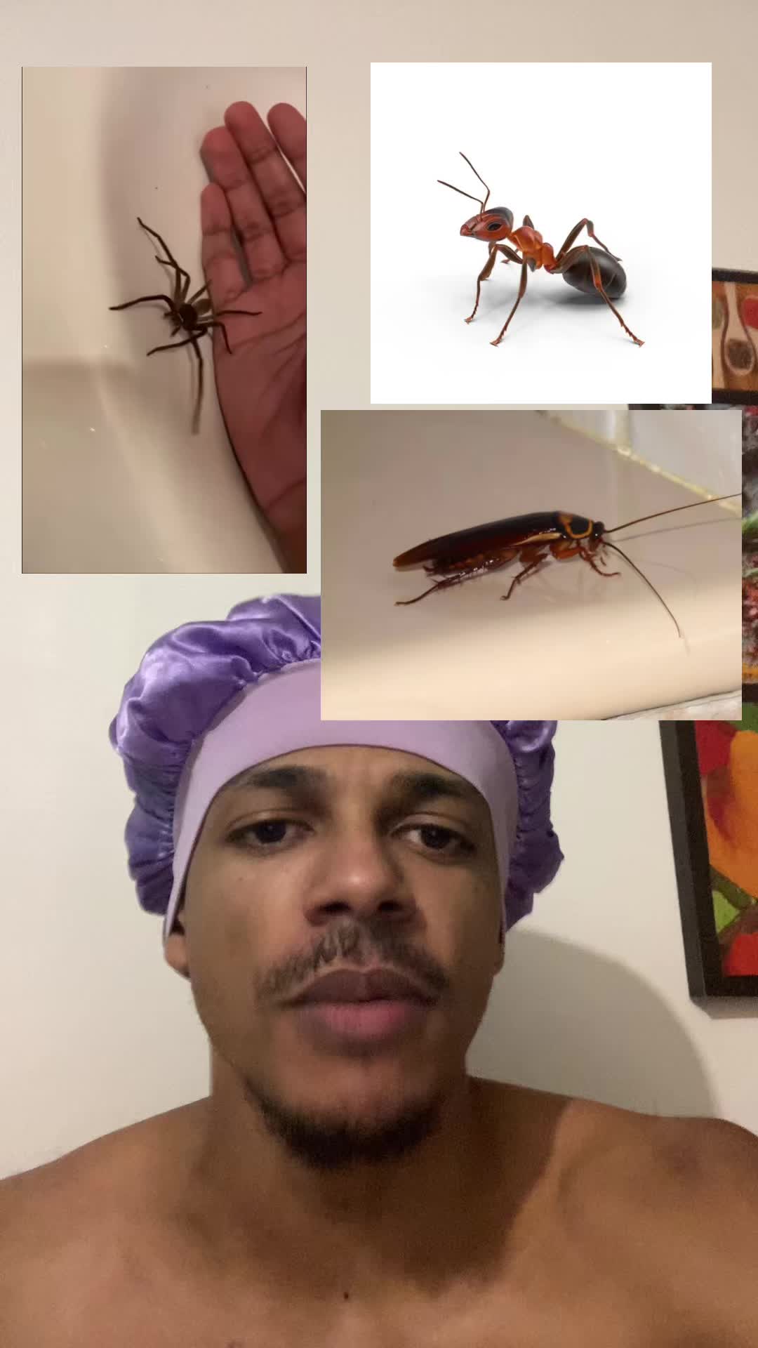 @Bibi