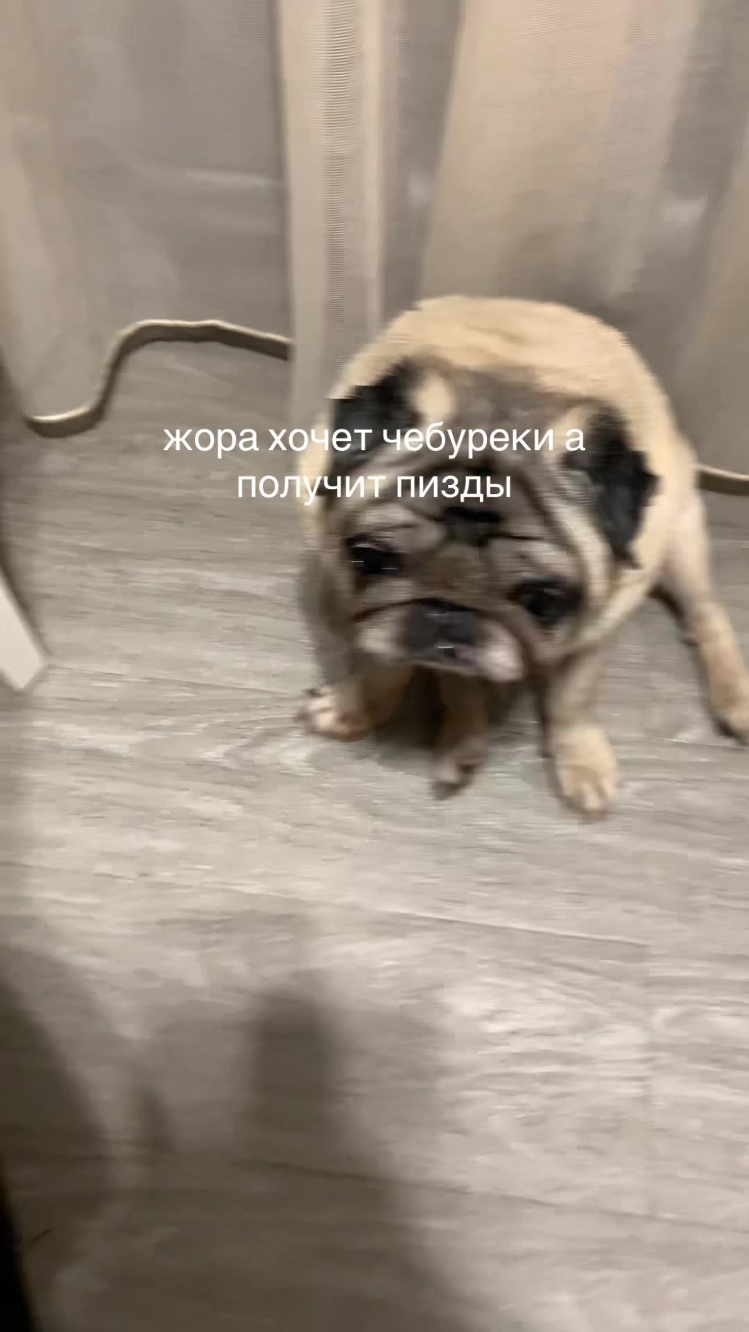 @Тру: ЖоРкА