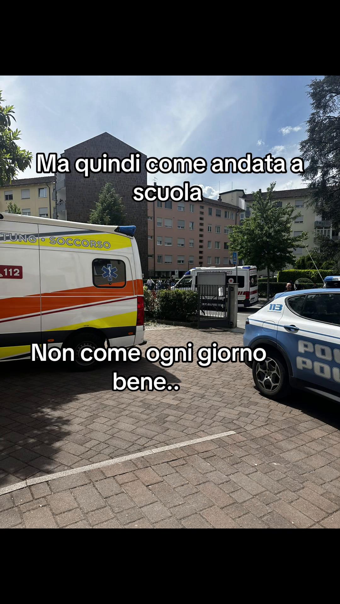 @Sono..io 🌹🌞🐊il kurdo