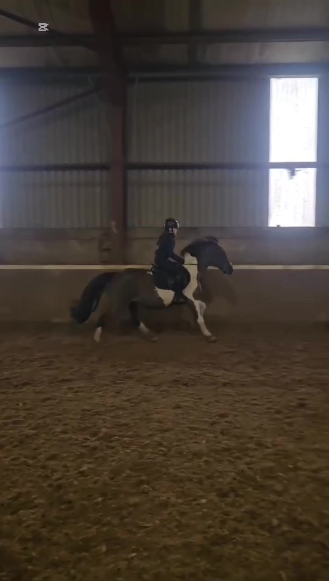 @Saoirse🪽🐎