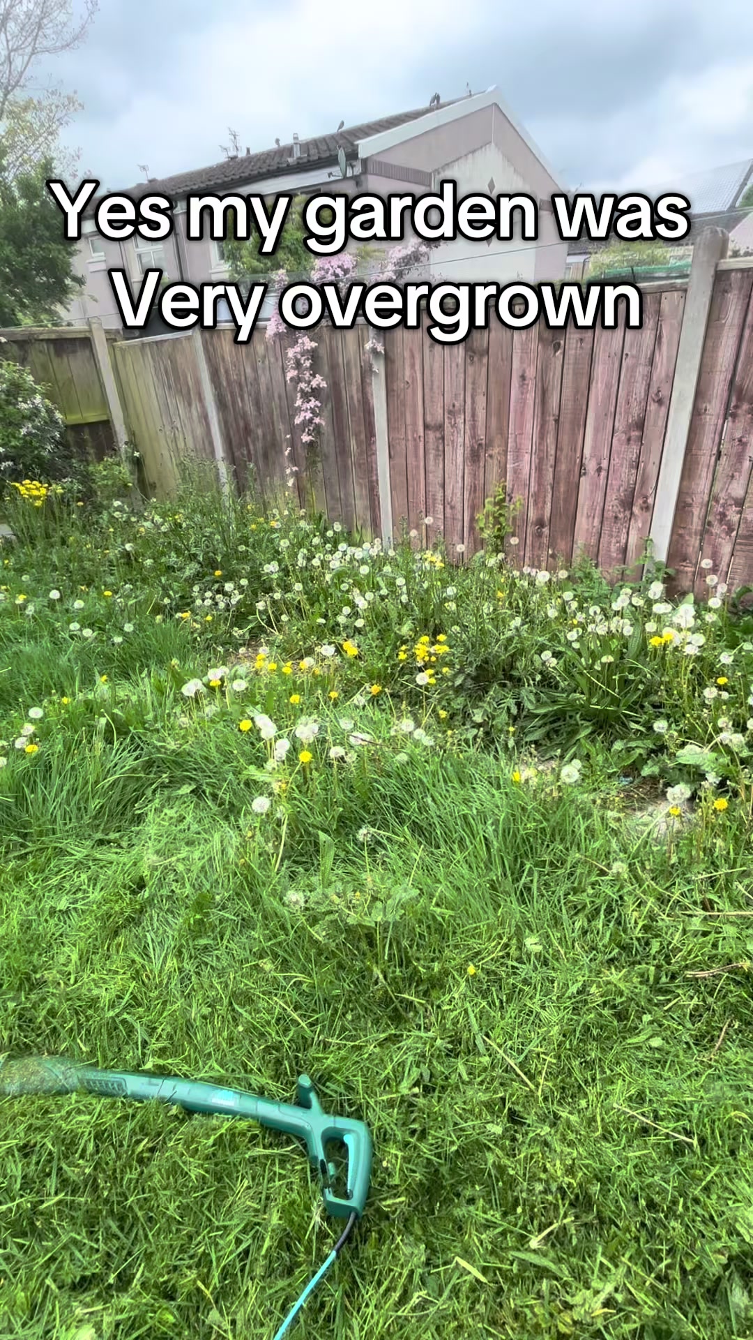 @🌼 Shelleylou ✌️