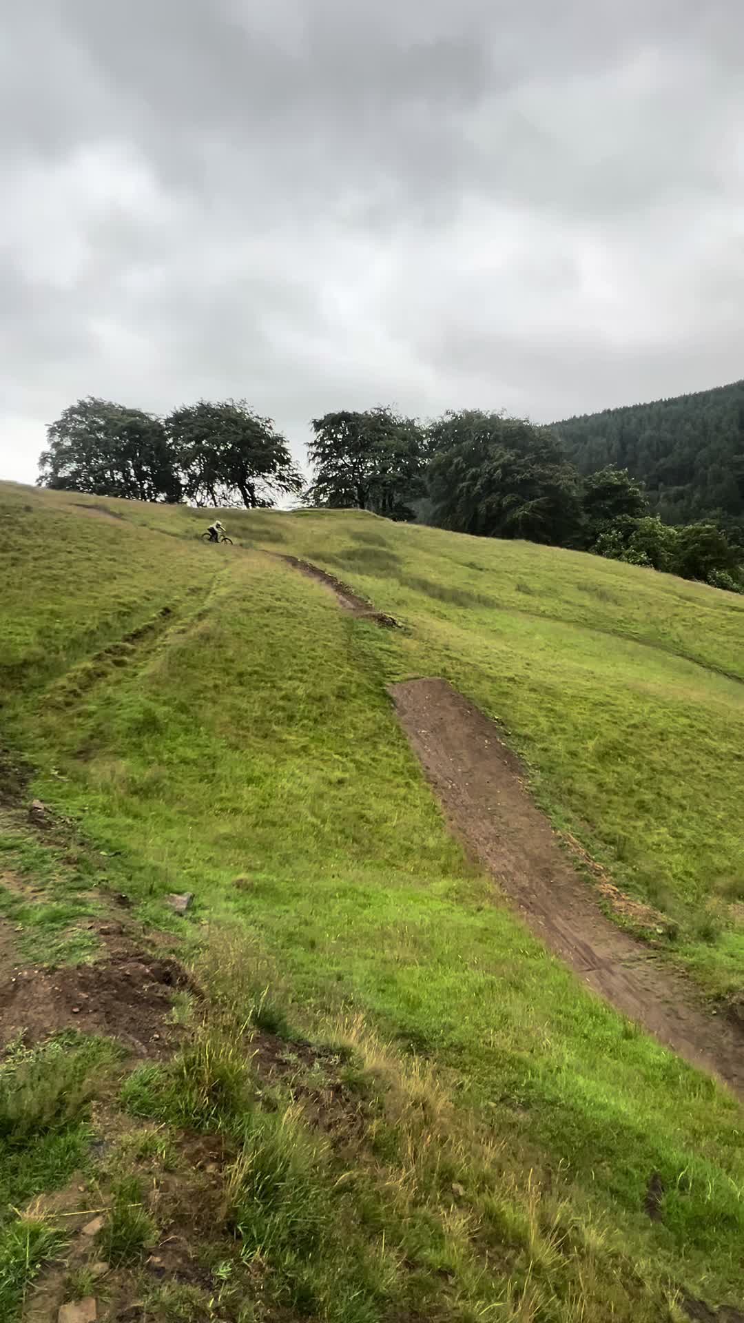 @AUSTIN_831🤠🇬🇧🏴
