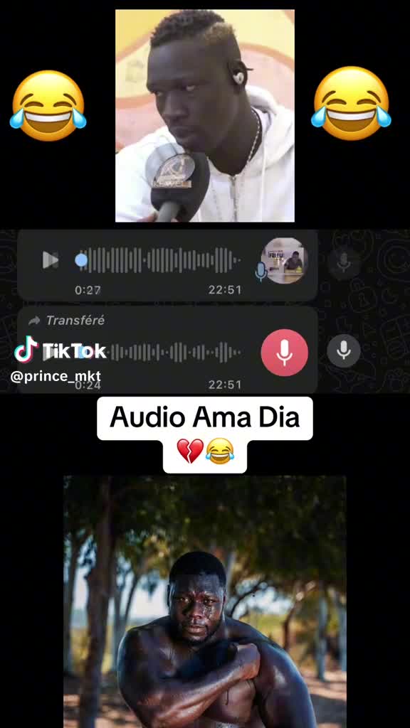 @tiktok.com/@soychicode