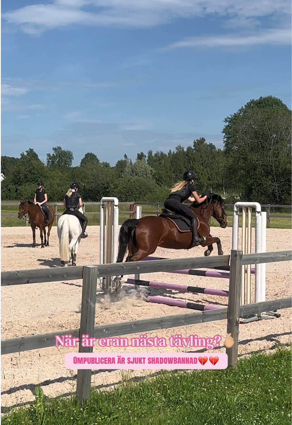 @🇸🇪Meja Karlsson🇸🇪