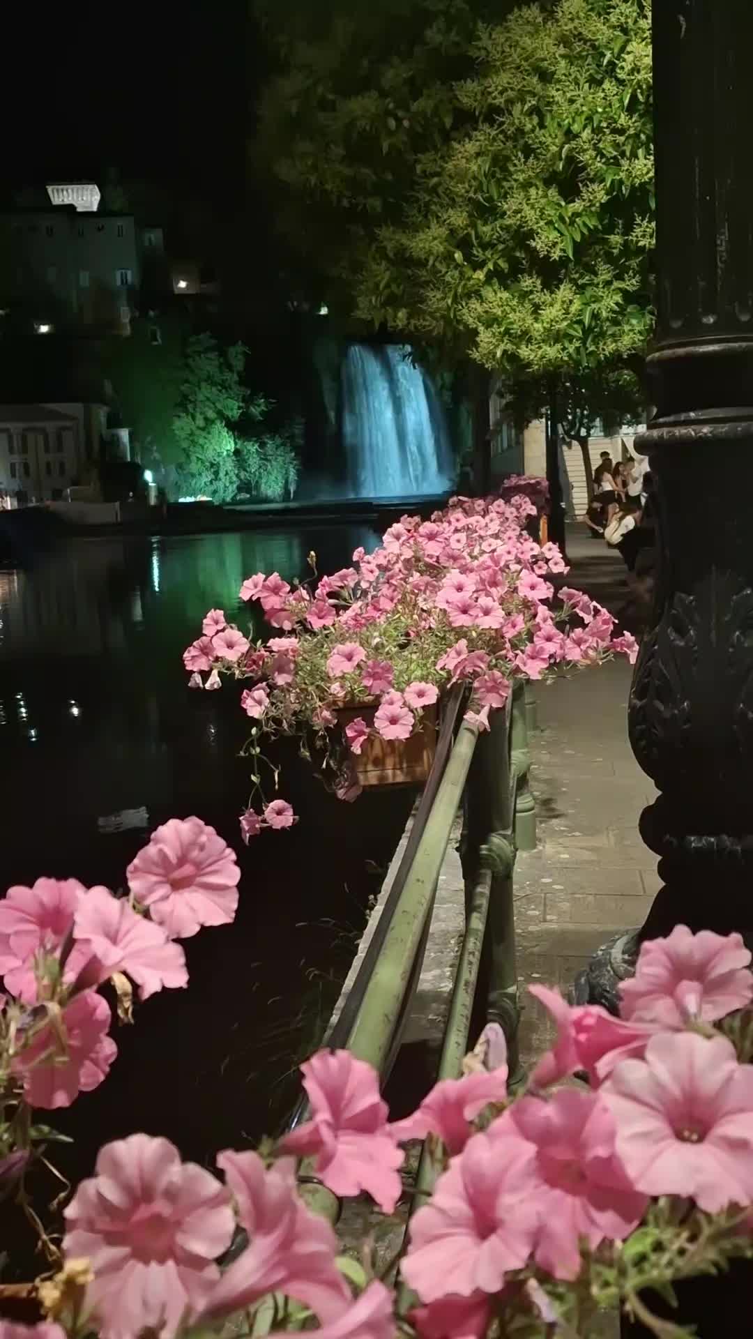 @Tamara Partigianoni🌼