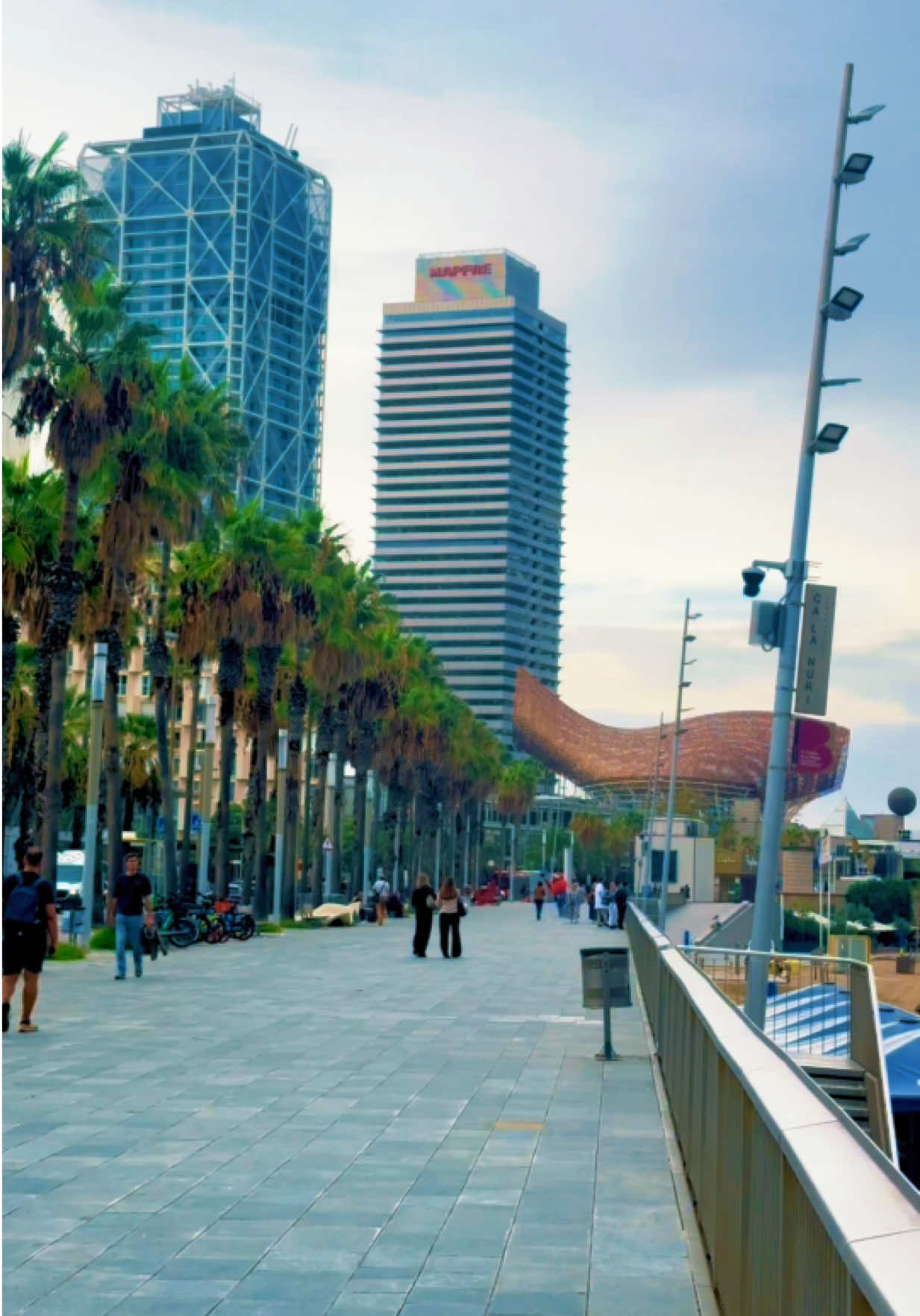 @𝓜𝓪𝓻𝓲́𝓪 𝓣𝓪𝓻𝓲𝓺🇪🇸🇵🇰